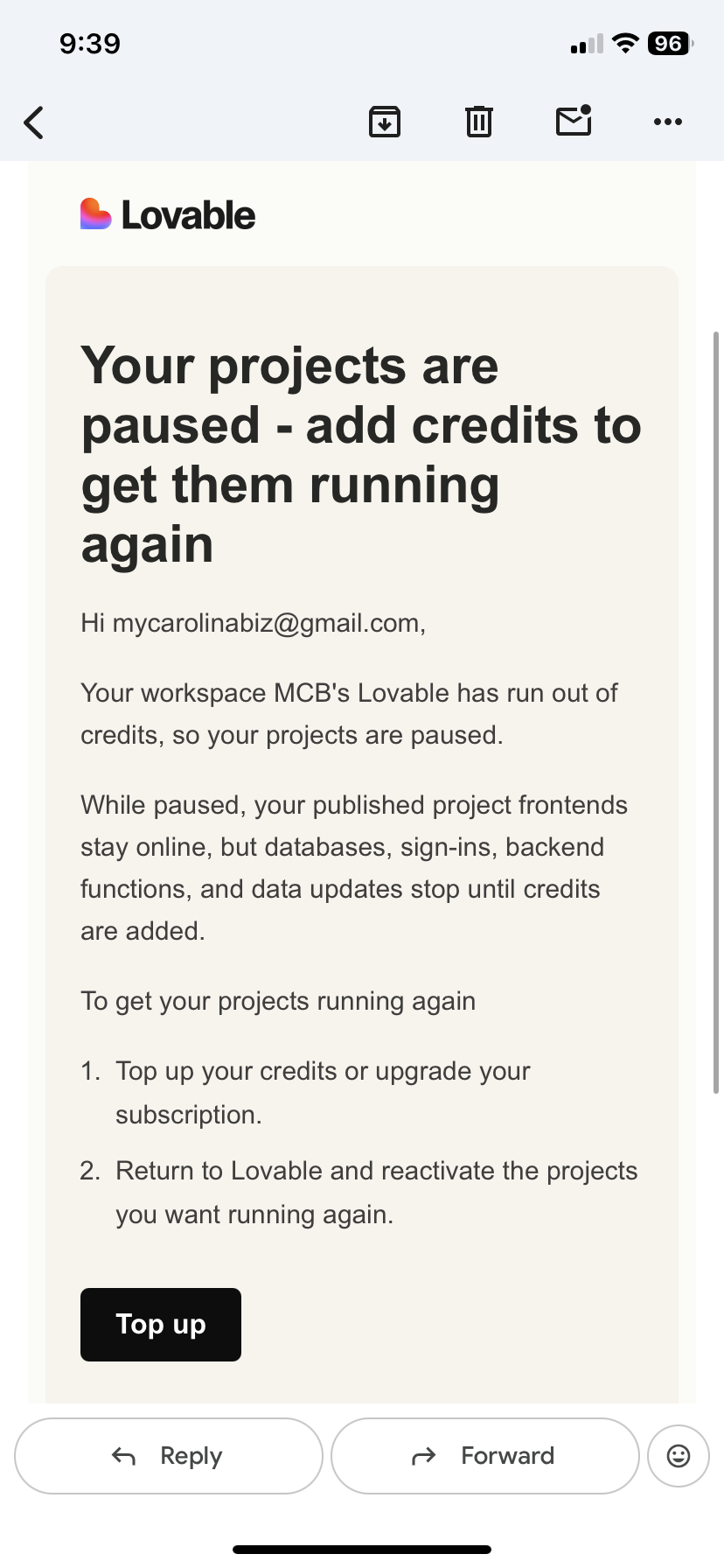 Lovable notice about site data services and credits